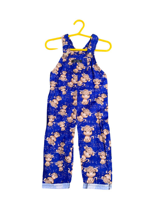 Funday Overalls - Size size 2